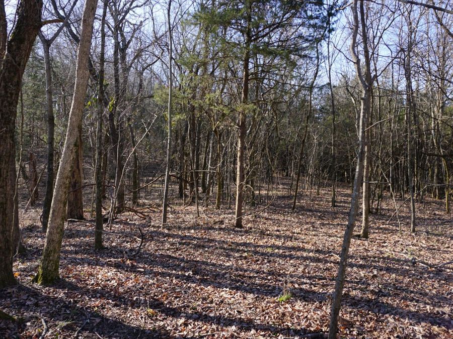 Property Image 17