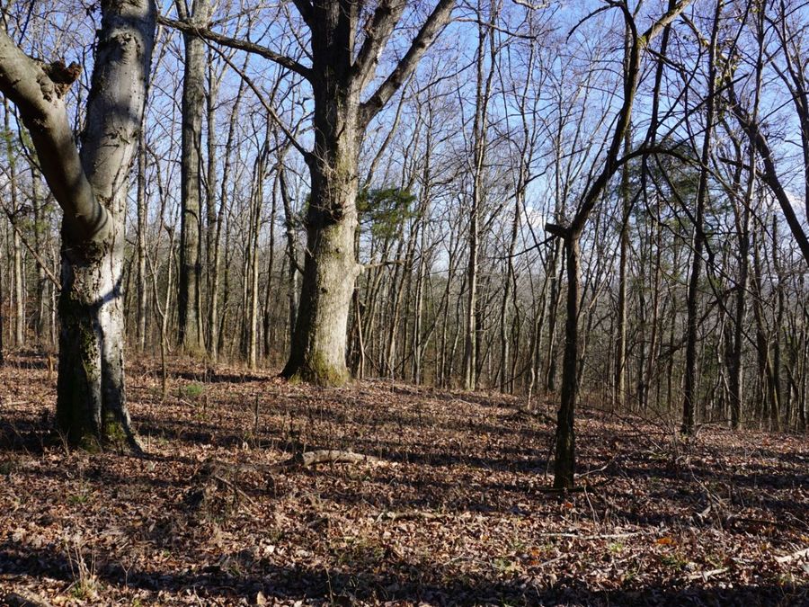 Property Image 18