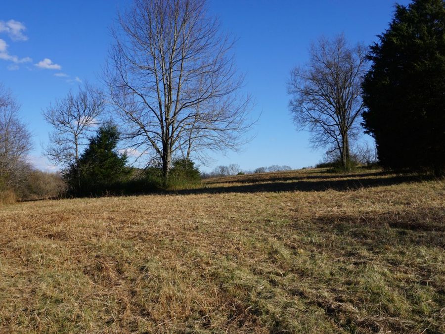 Property Image 57