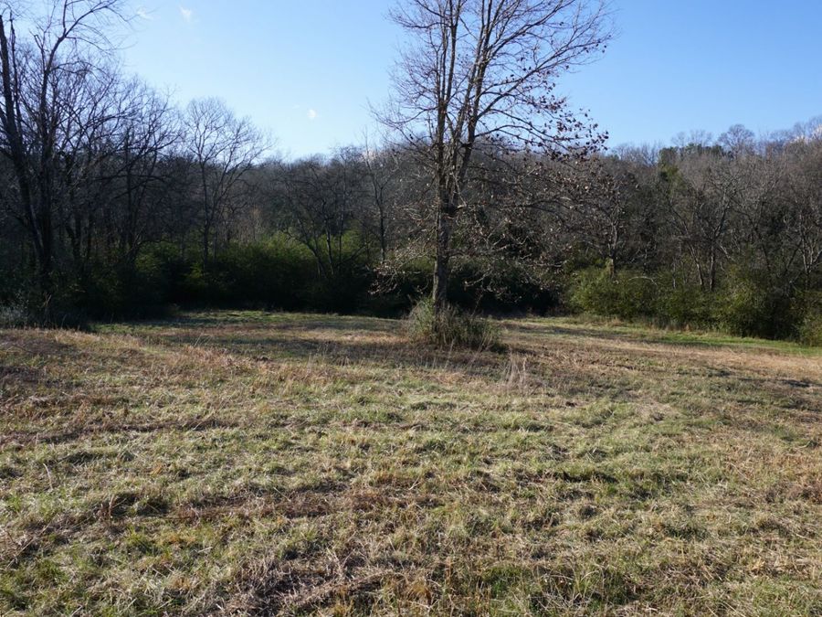 Property Image 58