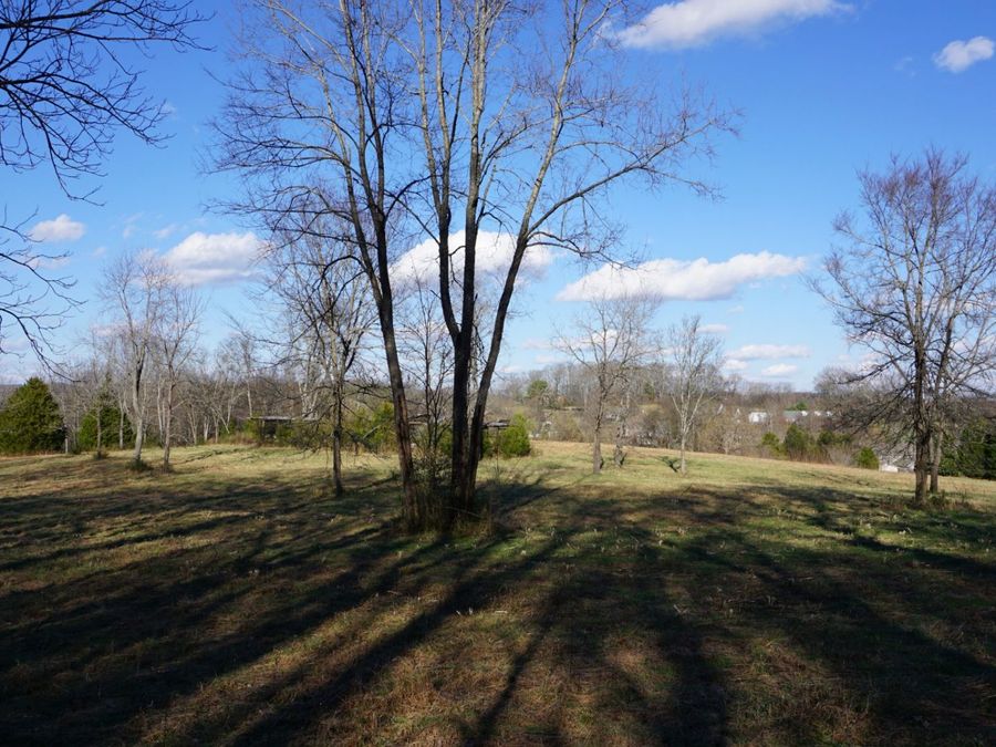 Property Image 60