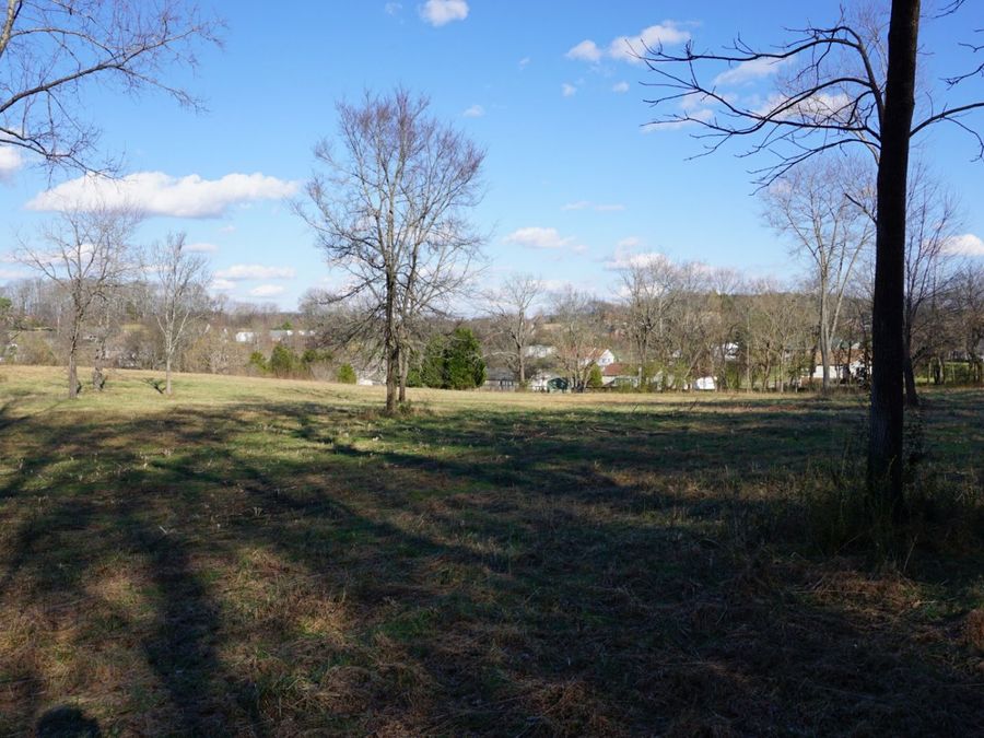 Property Image 61