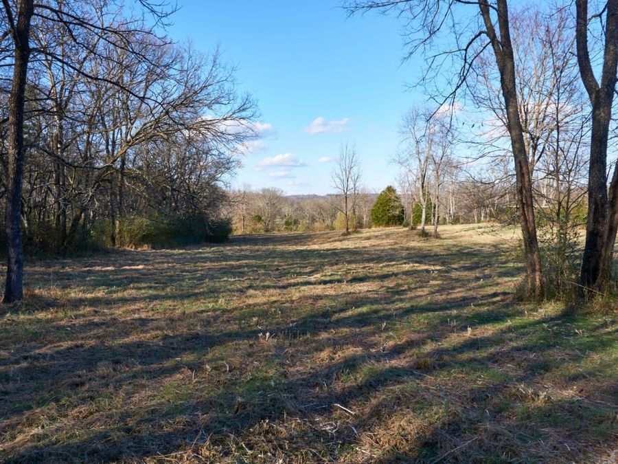 Property Image 63
