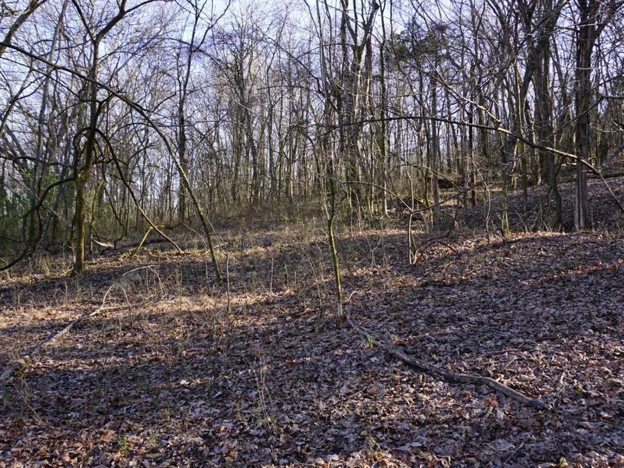 Property Image 68