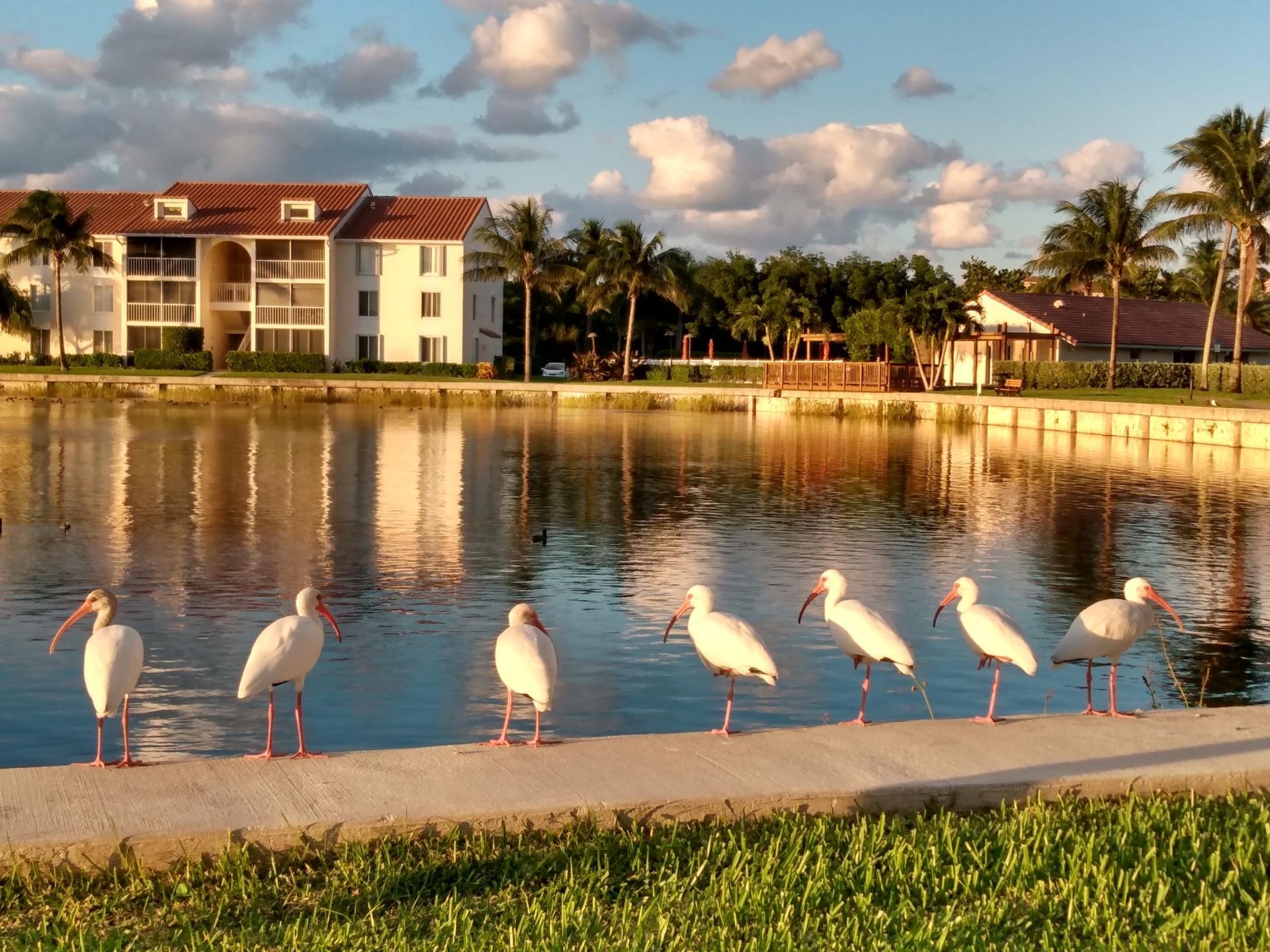 4436 NE Ocean Boulevard, Unit E2, Hutchinson Island, FL 34957 Photo