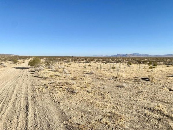 104 Joshua Tree Road, Johnson Valley, CA 92285