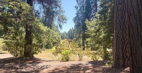 633 Forest Meadows Drive, Murphys, CA 95247 Photo
