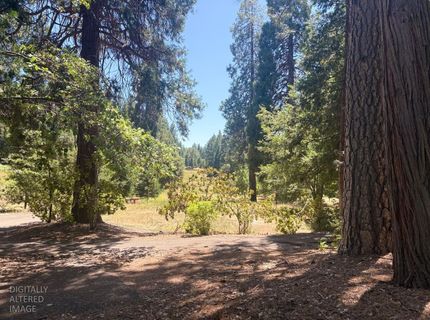 633 Forest Meadows Drive, Murphys, CA 95247 Photo