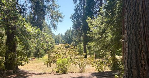 633 Forest Meadows Drive, Murphys, CA 95247 Photo