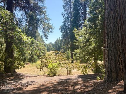 633 Forest Meadows Drive, Murphys, CA 95247 Photo