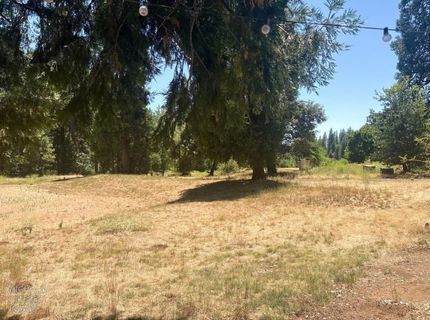 633 Forest Meadows Drive, Murphys, CA 95247 Photo