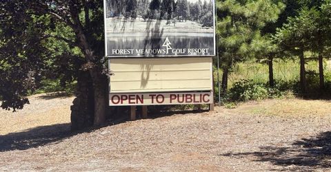 633 Forest Meadows Drive, Murphys, CA 95247 Photo