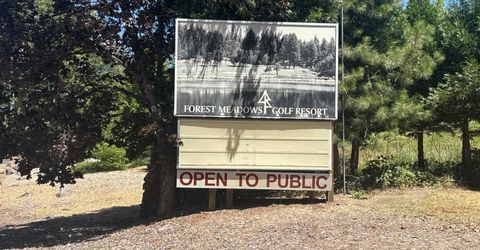 633 Forest Meadows Drive, Murphys, CA 95247 Photo