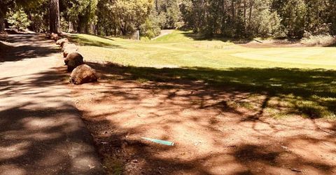 633 Forest Meadows Drive, Murphys, CA 95247 Photo