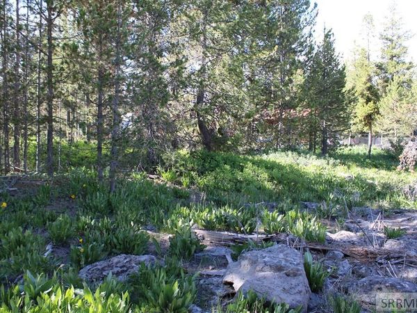 0001 N Buffalo Lane, ISLAND PARK, ID 83429