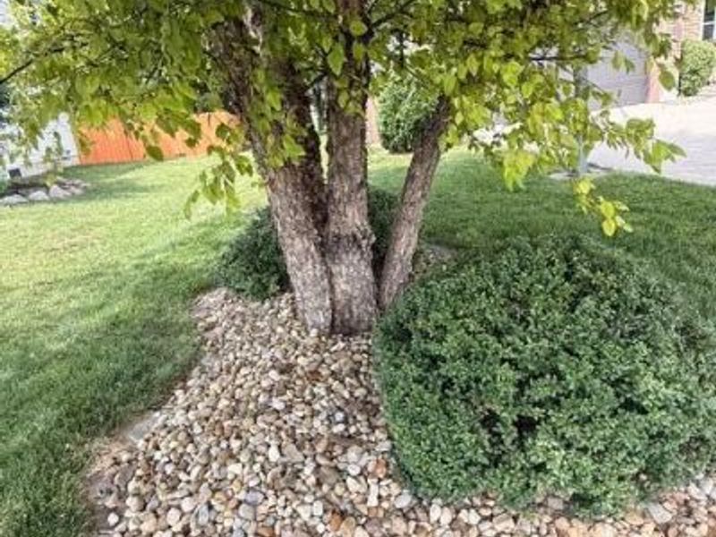 7045 Sherbrook Drive, Westerville, OH 43082 Photo 5