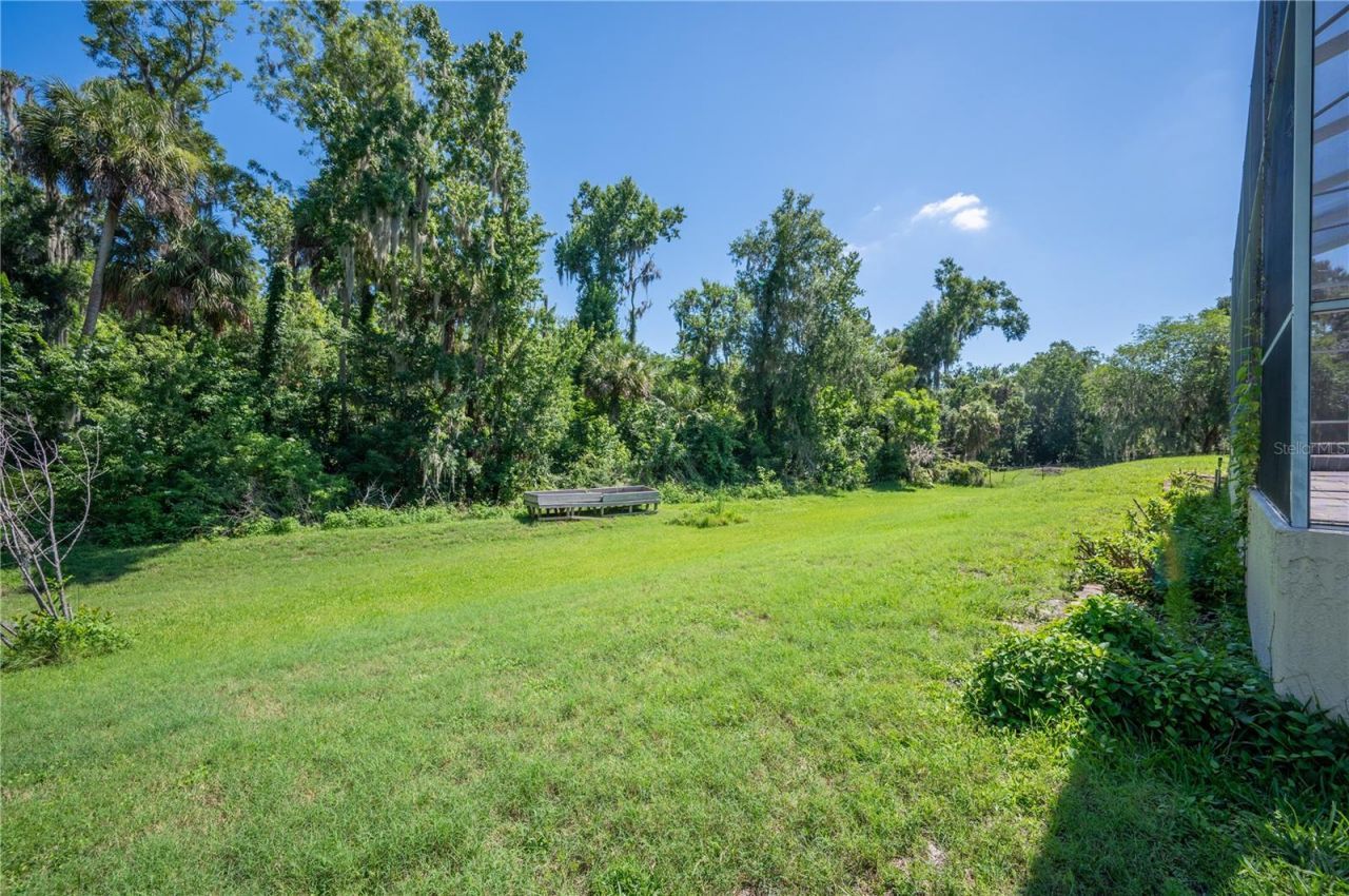 6617 Poley Creek Drive W, Lakeland, FL 33811 Photo