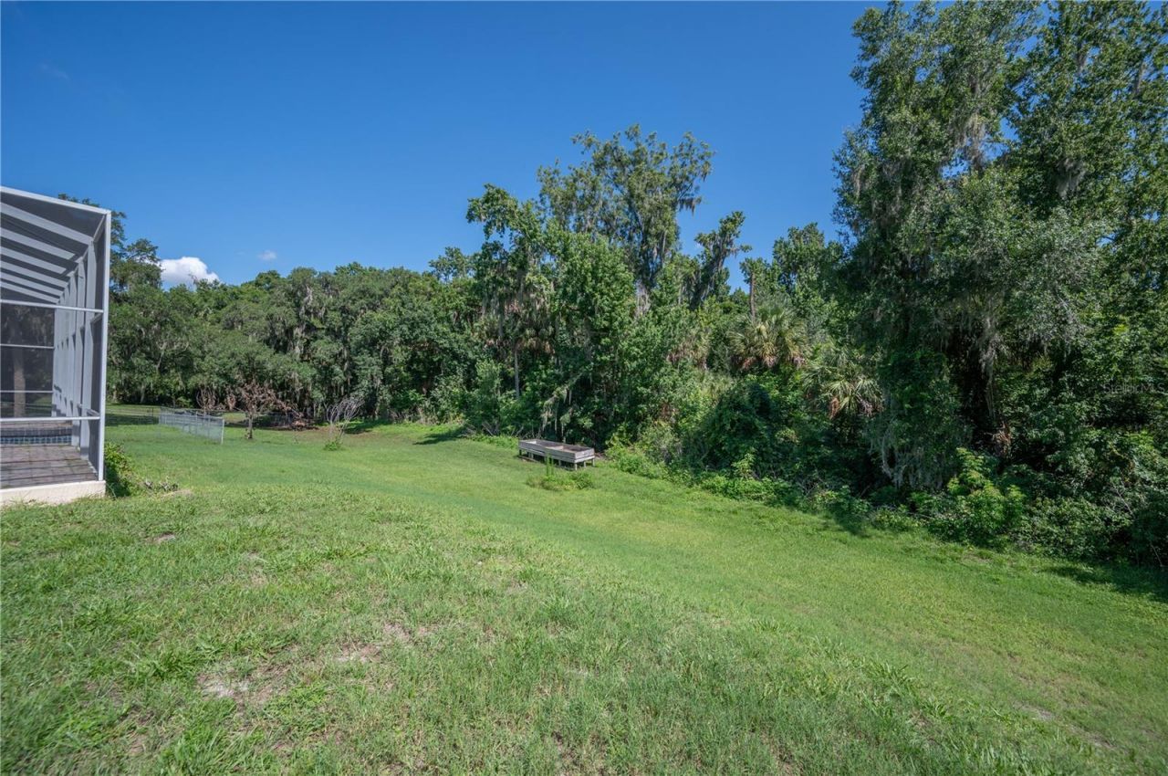 6617 Poley Creek Drive W, Lakeland, FL 33811 Photo