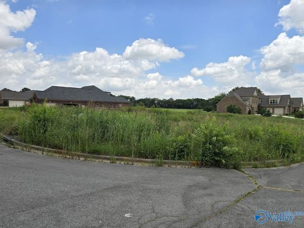 lot 24 Brigadoon Drive, Madison, AL 35757