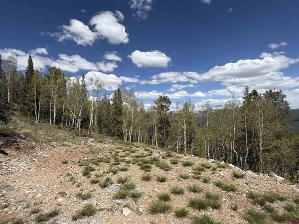 159 Lime Bluff Drive, Pitkin, CO 81241