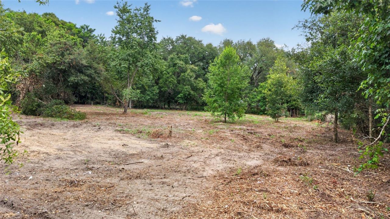 8608 Hamster Drive, Zephyrhills, FL 33540 Photo