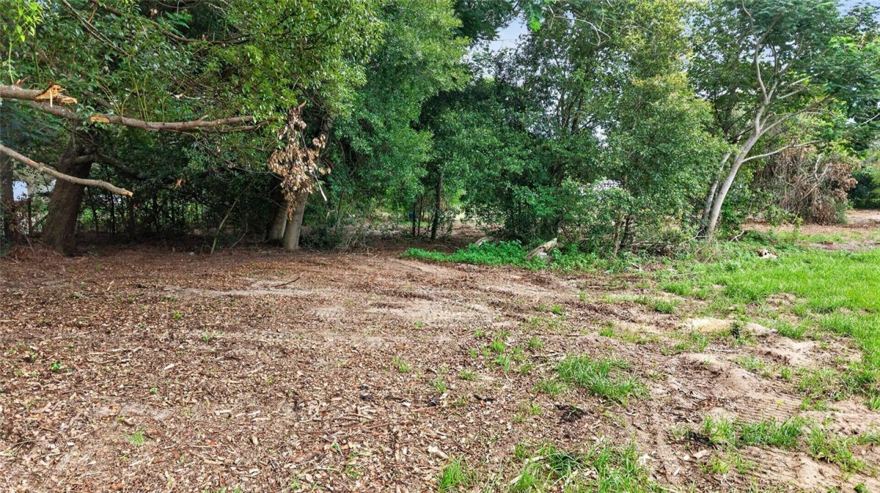 8608 Hamster Drive, Zephyrhills, FL 33540 Photo