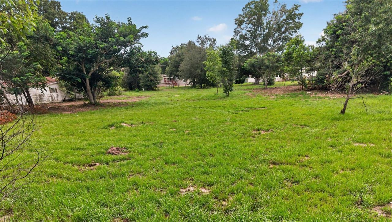 8608 Hamster Drive, Zephyrhills, FL 33540 Photo