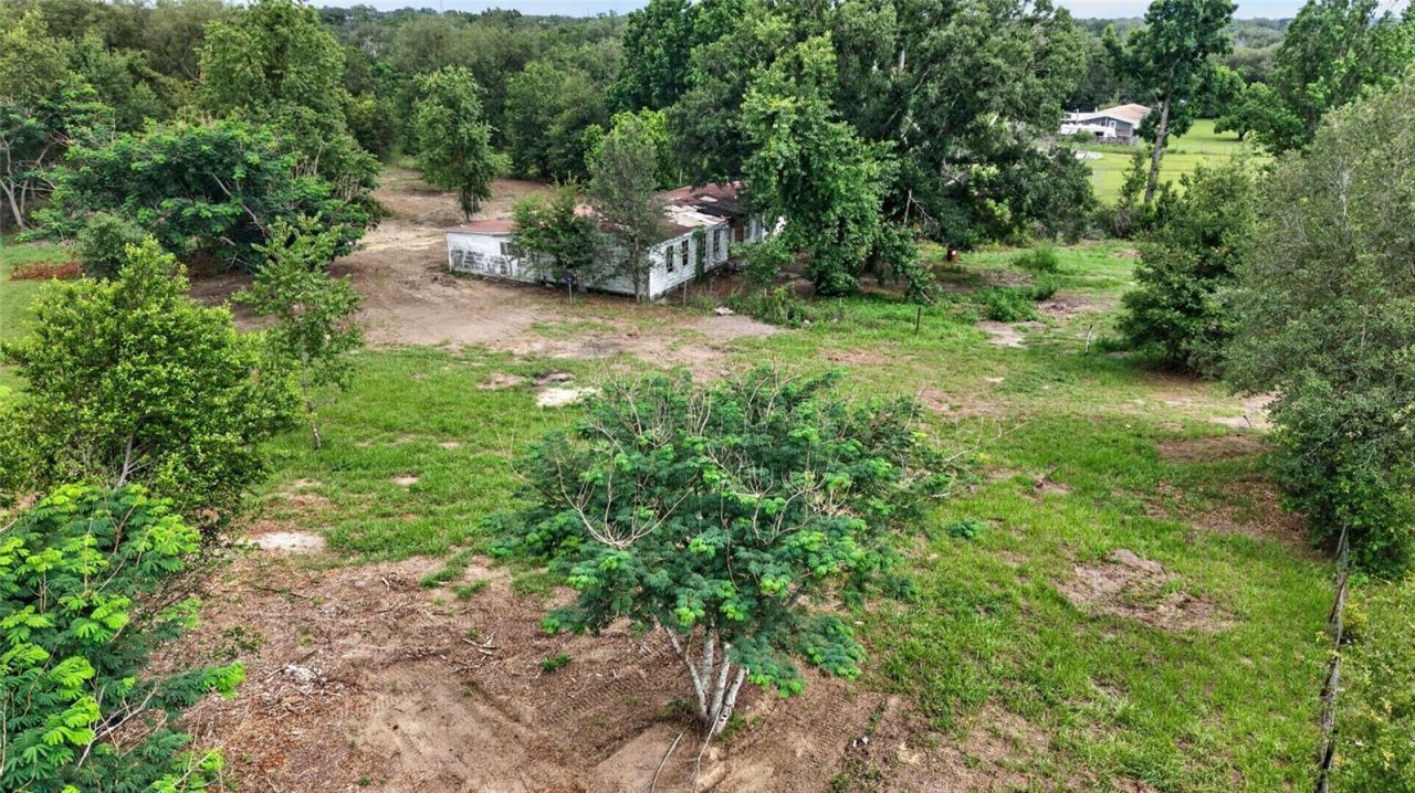 8608 Hamster Drive, Zephyrhills, FL 33540 Photo