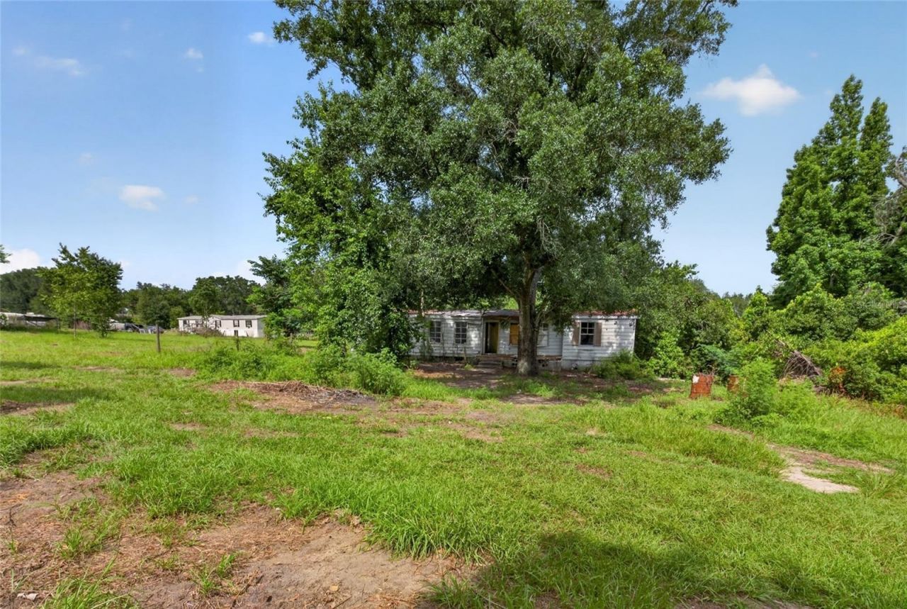 8608 Hamster Drive, Zephyrhills, FL 33540 Photo