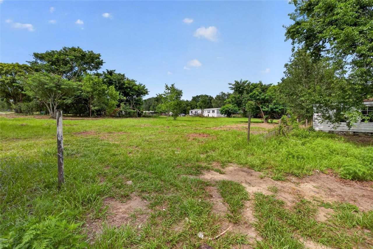 8608 Hamster Drive, Zephyrhills, FL 33540 Photo