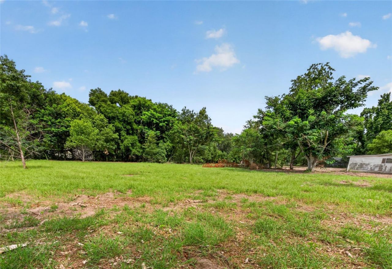 8608 Hamster Drive, Zephyrhills, FL 33540 Photo