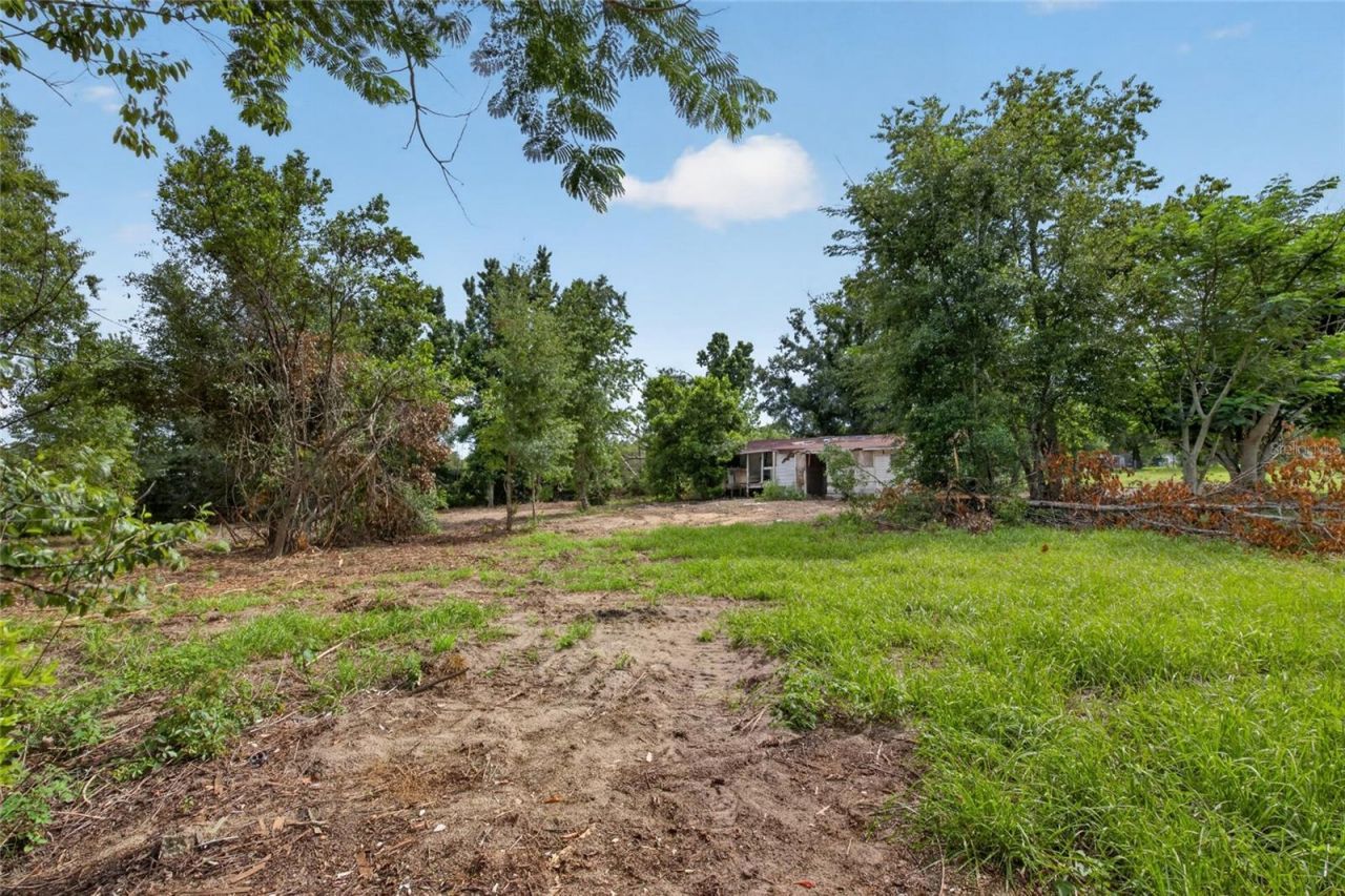 8608 Hamster Drive, Zephyrhills, FL 33540 Photo