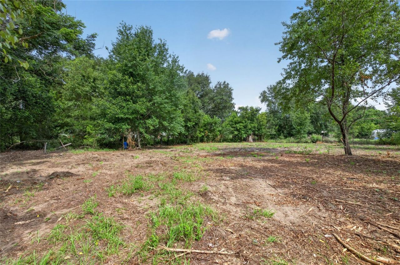 8608 Hamster Drive, Zephyrhills, FL 33540 Photo
