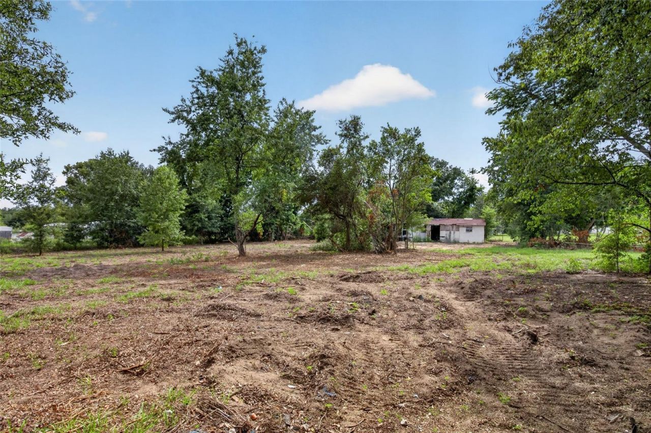 8608 Hamster Drive, Zephyrhills, FL 33540 Photo