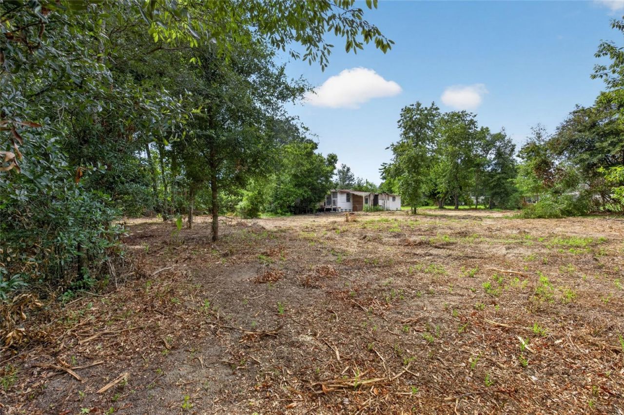 8608 Hamster Drive, Zephyrhills, FL 33540 Photo