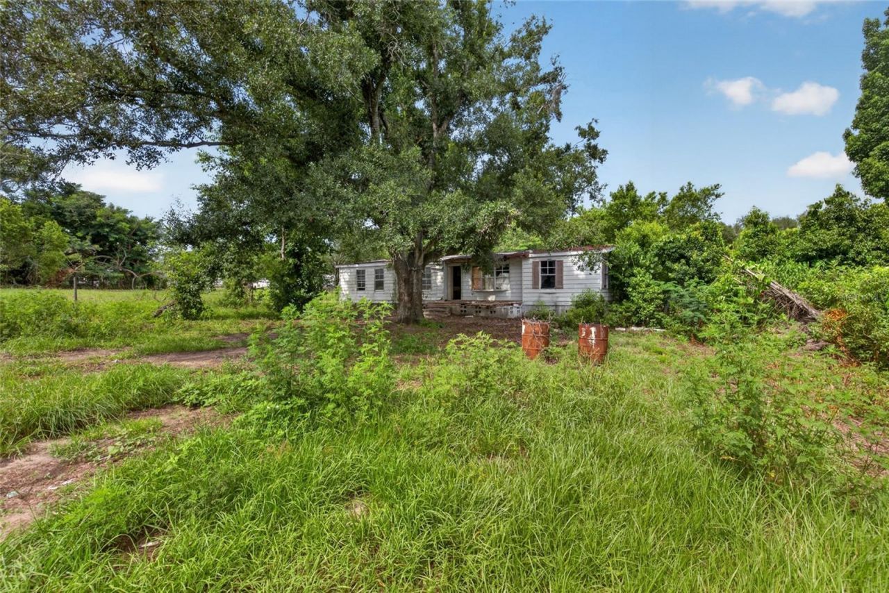 8608 Hamster Drive, Zephyrhills, FL 33540 Photo