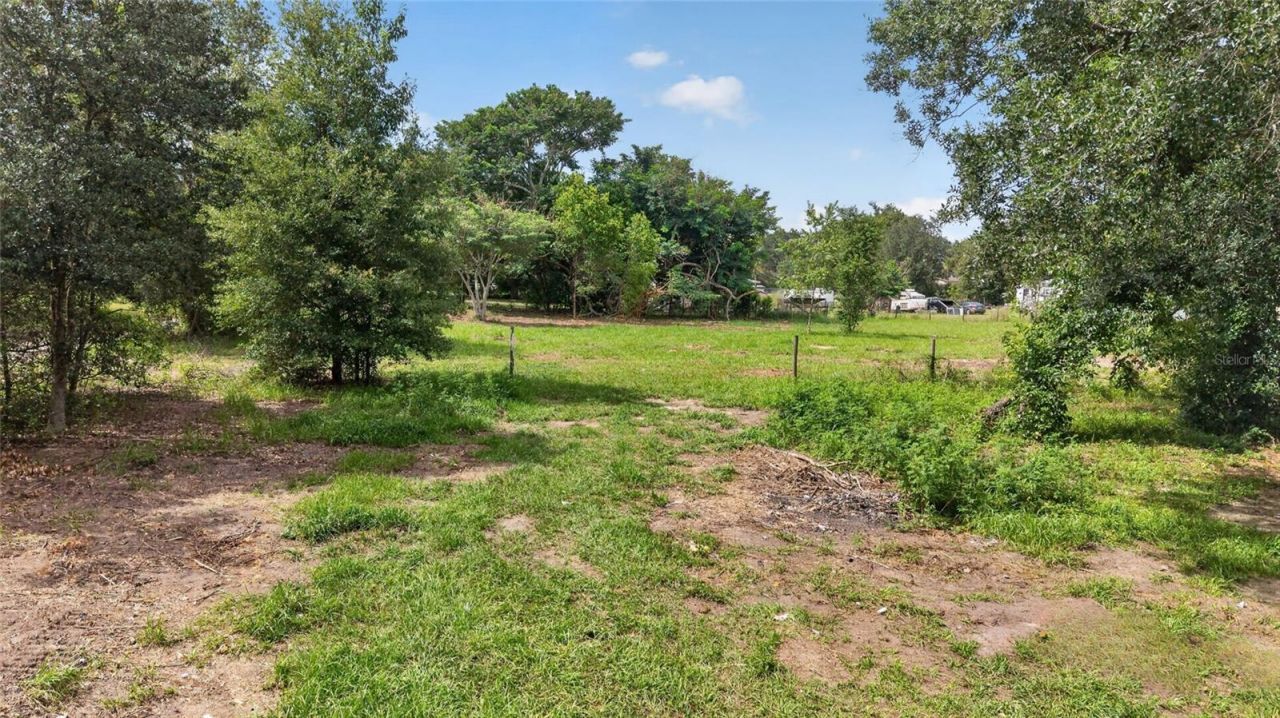 8608 Hamster Drive, Zephyrhills, FL 33540 Photo