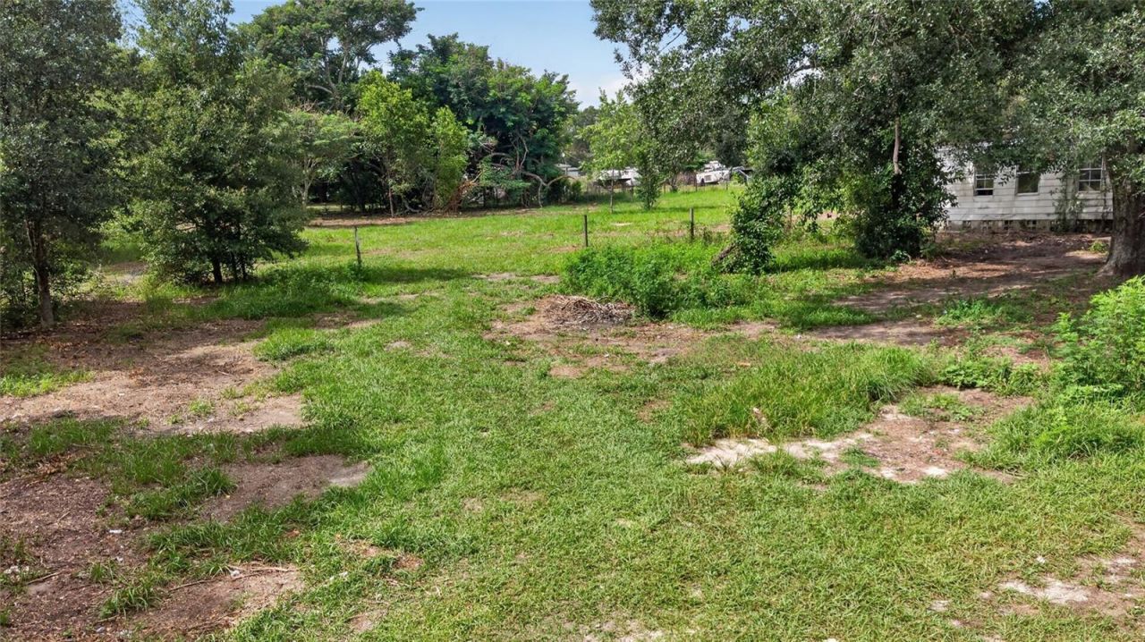 8608 Hamster Drive, Zephyrhills, FL 33540 Photo