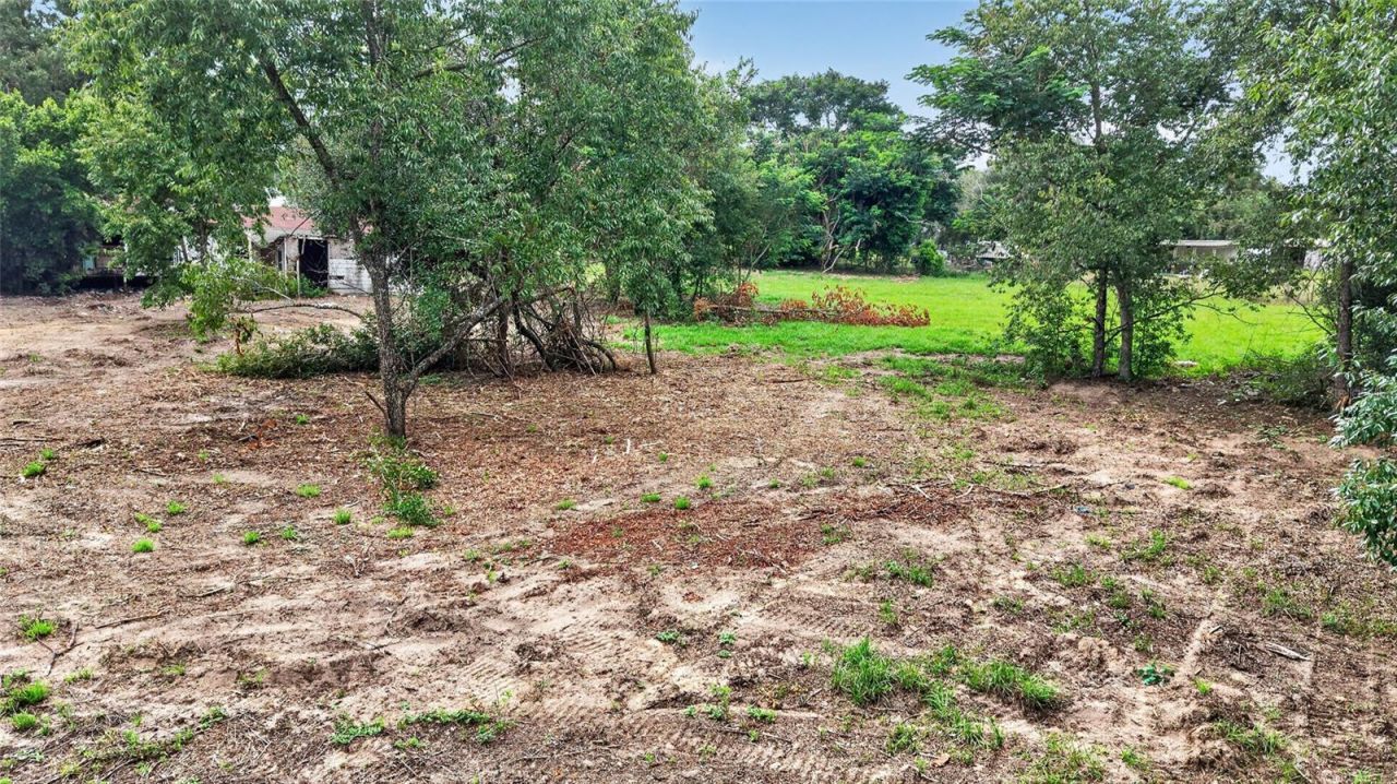 8608 Hamster Drive, Zephyrhills, FL 33540 Photo