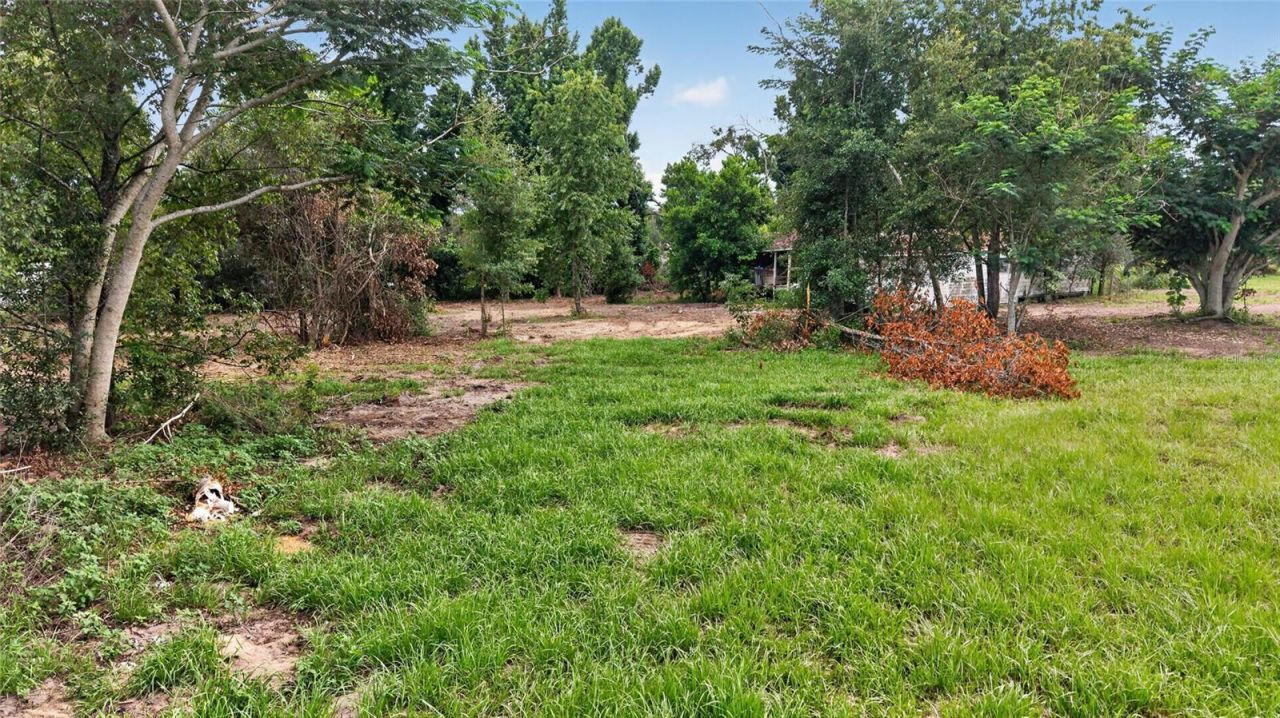 8608 Hamster Drive, Zephyrhills, FL 33540 Photo