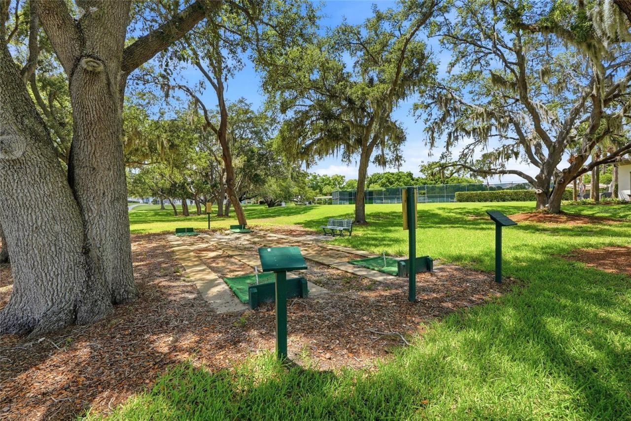 5313 Fantasy Way , Leesburg, FL 34748 Photo