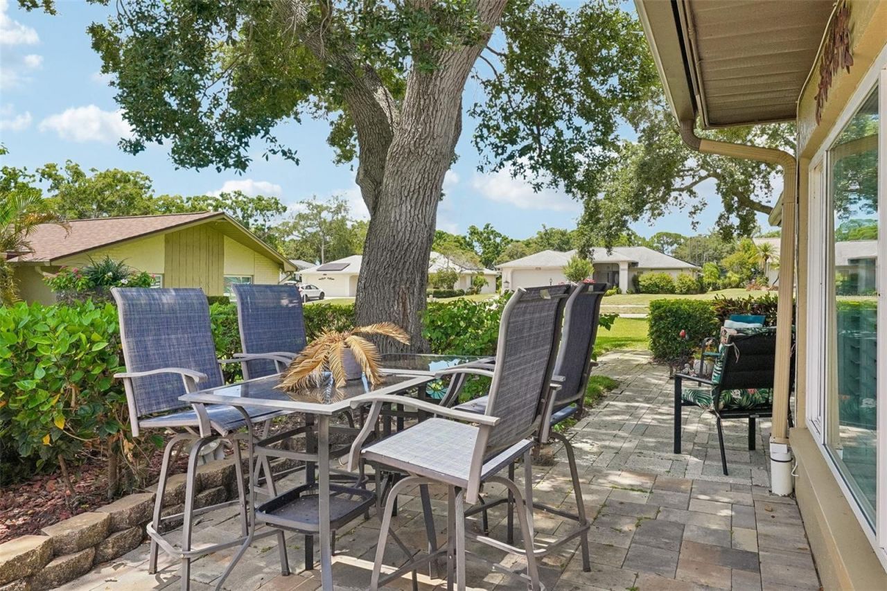3259 Hilary Circle , Unit 1C, Palm Harbor, FL 34684 Photo