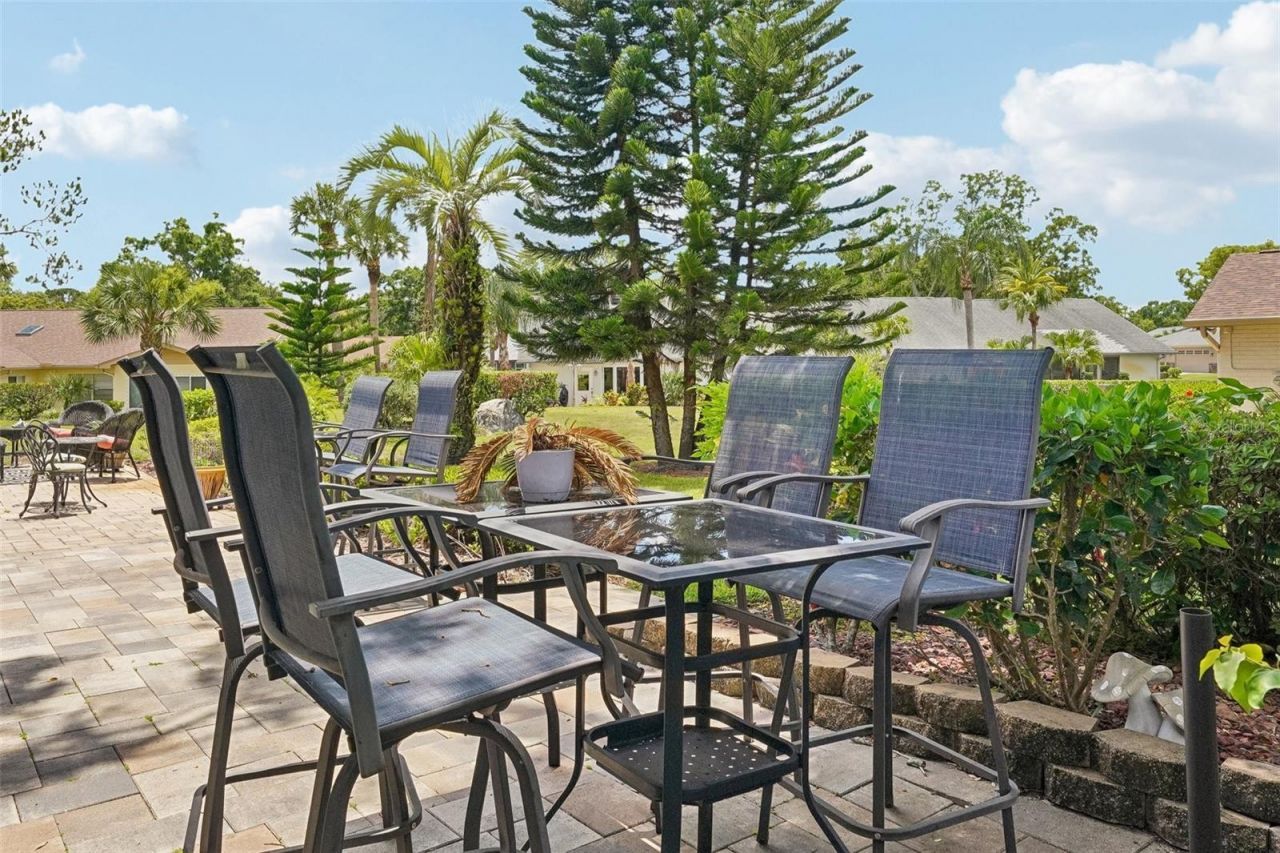 3259 Hilary Circle , Unit 1C, Palm Harbor, FL 34684 Photo