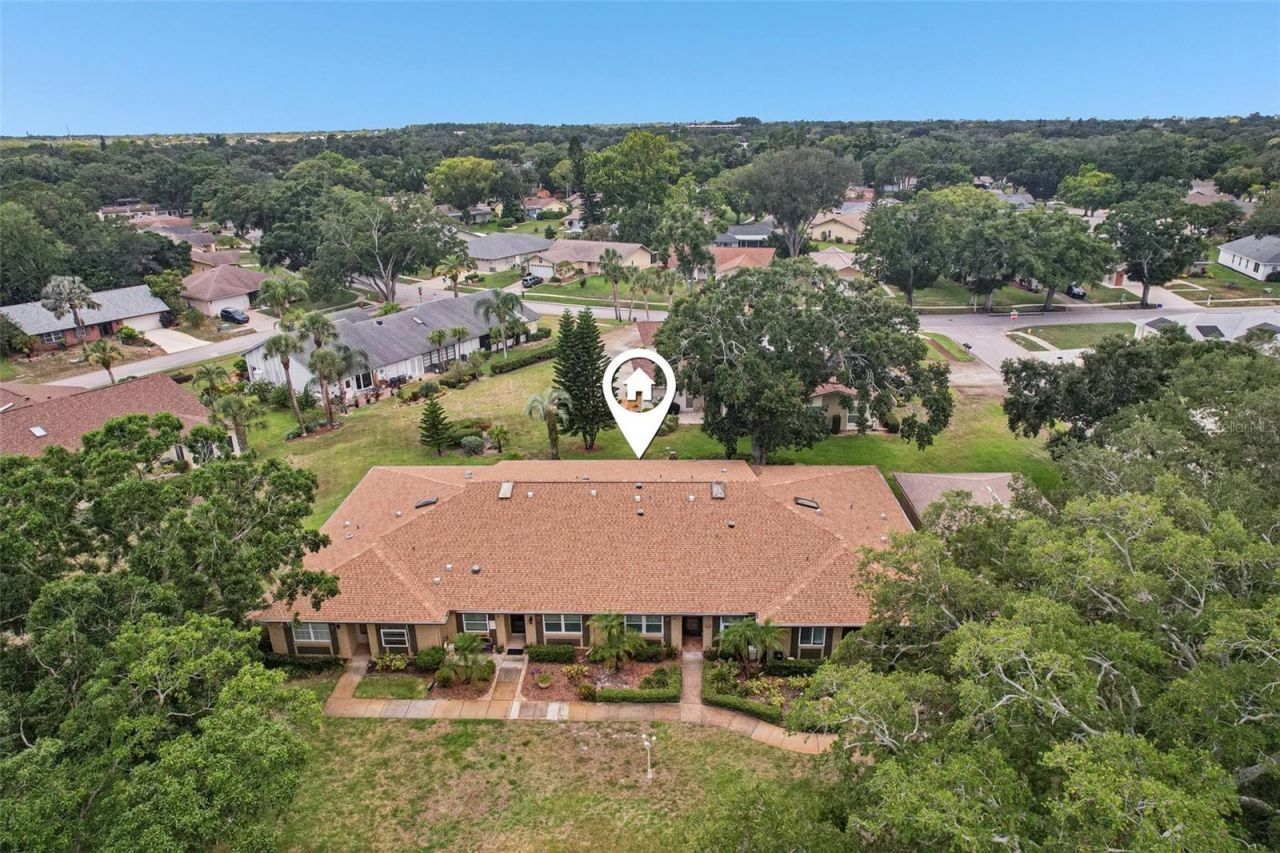 3259 Hilary Circle , Unit 1C, Palm Harbor, FL 34684 Photo