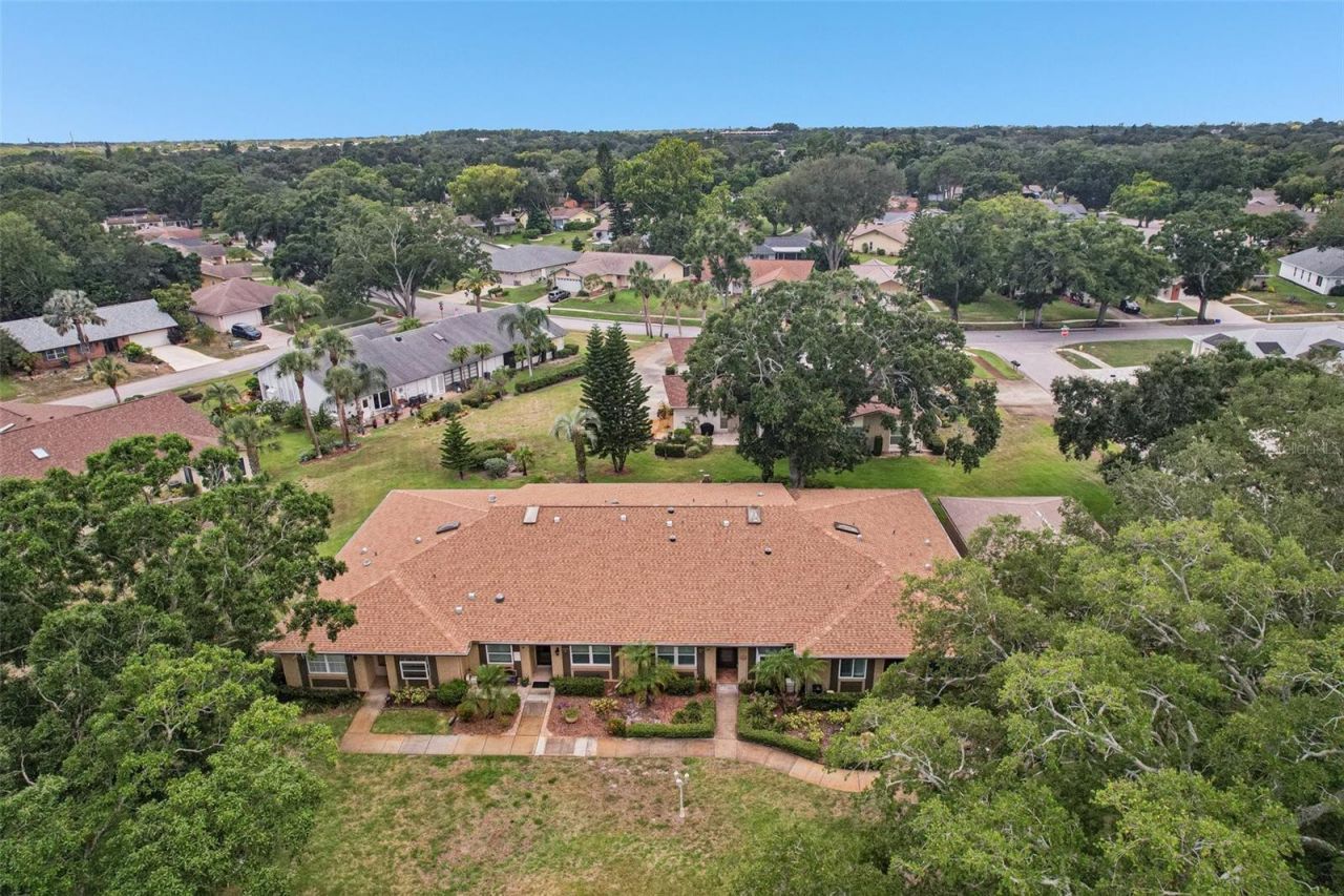 3259 Hilary Circle , Unit 1C, Palm Harbor, FL 34684 Photo