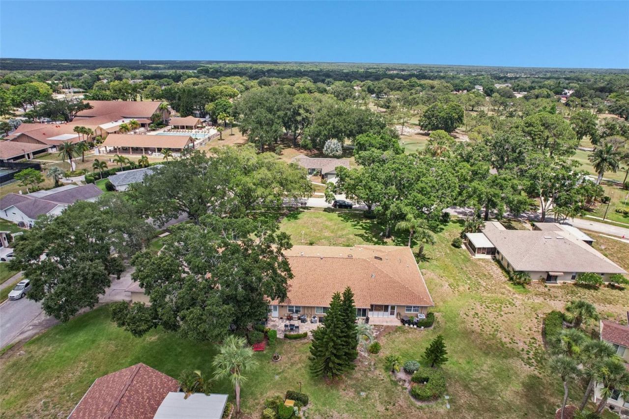 3259 Hilary Circle , Unit 1C, Palm Harbor, FL 34684 Photo