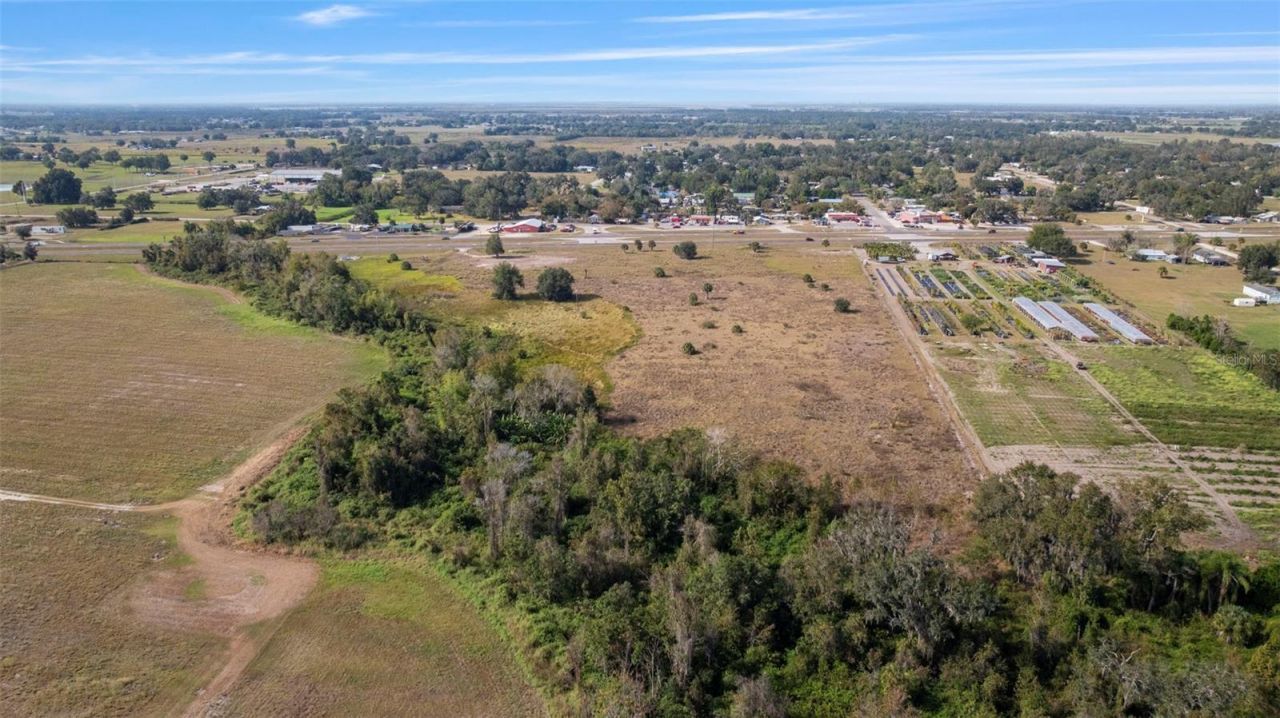 1768 N Us Hwy 17 , Wauchula, FL 33873 Photo