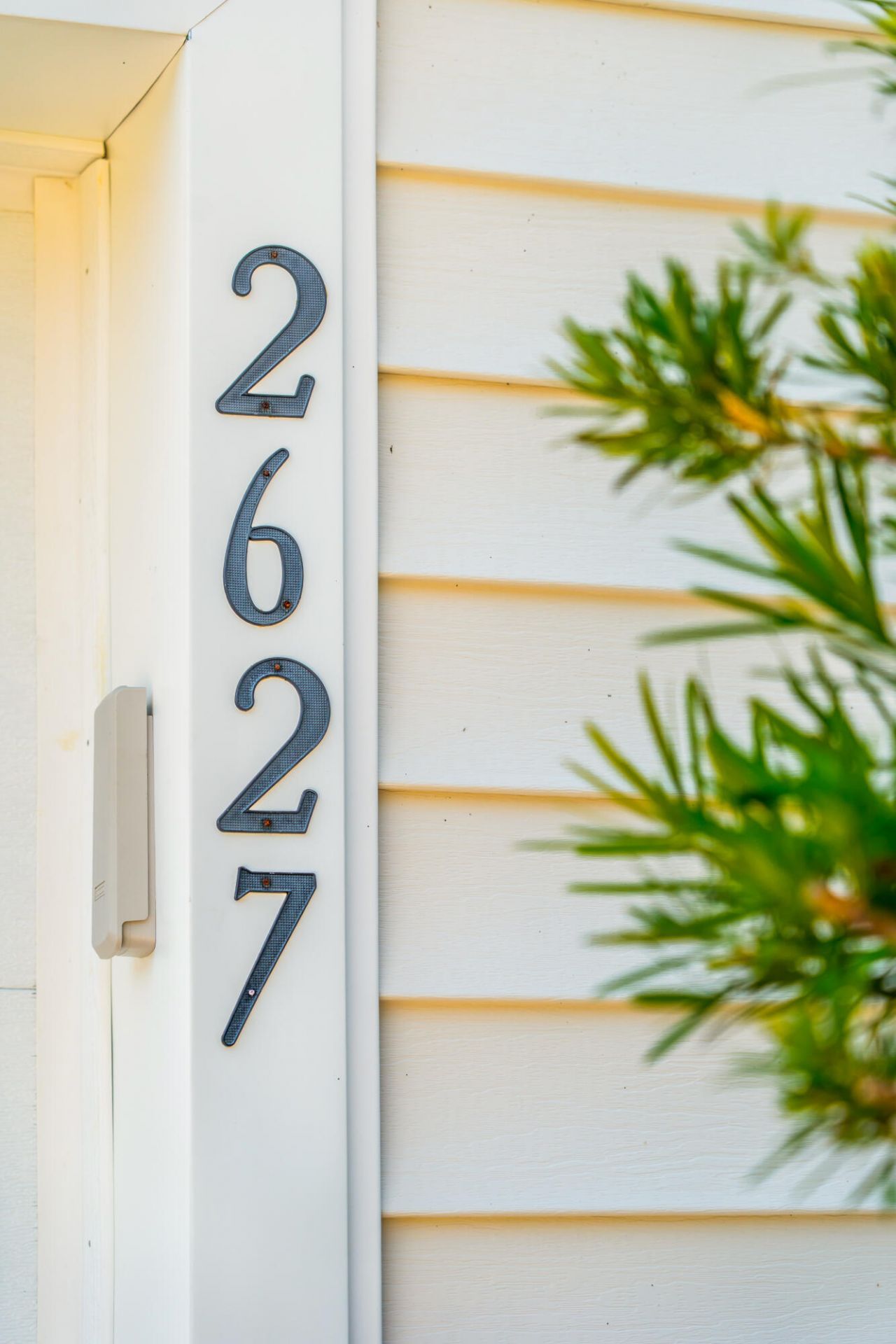 2627 Alamanda Drive Photo 4