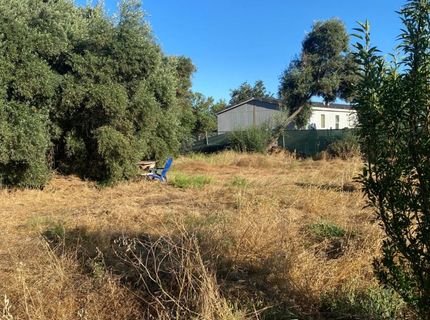 Archway Ave, Rio Linda, CA 95673 Photo