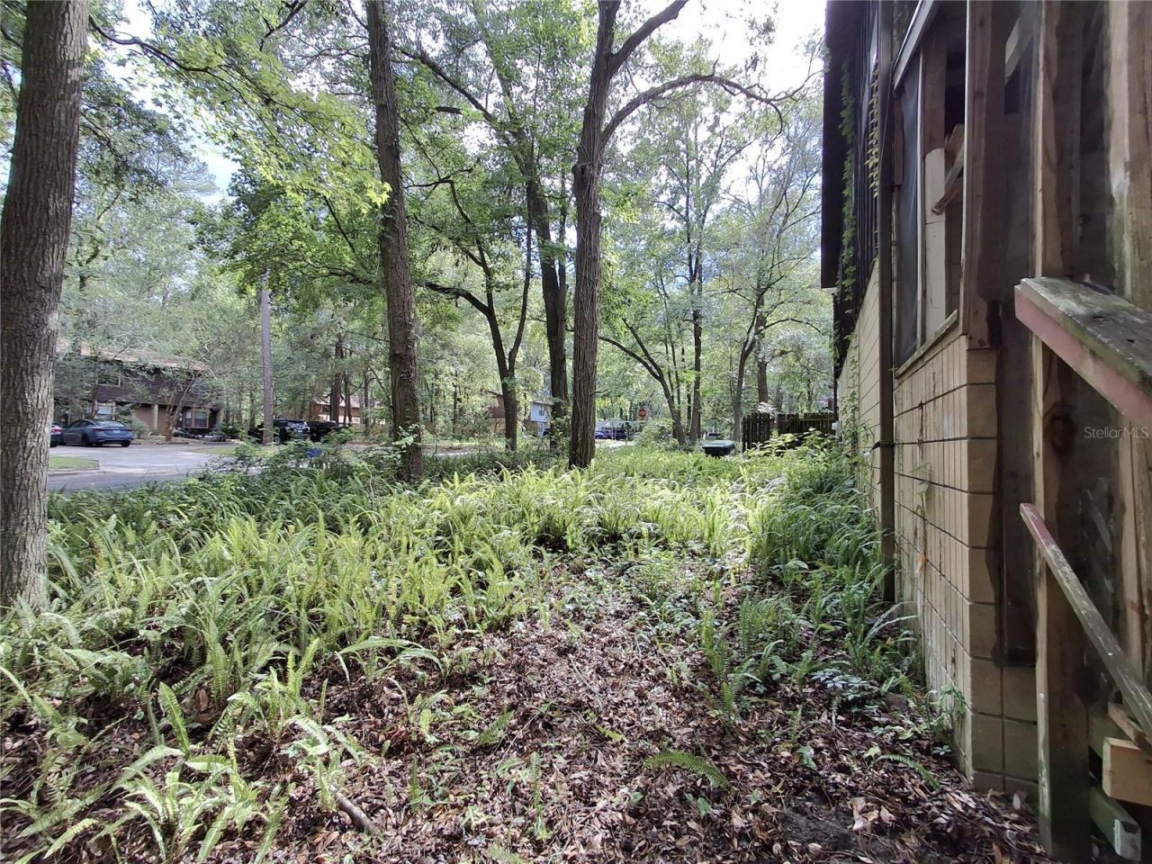4333 SW 69th Terrace, Gainesville, FL 32608 Photo